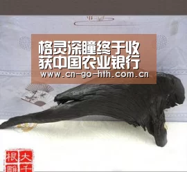 格灵深瞳终于收获中国农业银行安防订单-华体会(图1) 华体会登陆