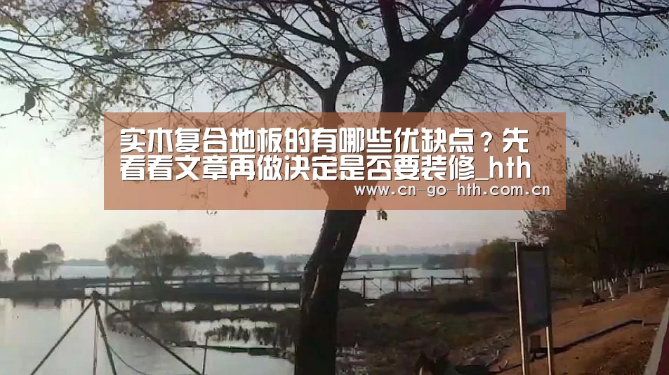 华体会体育