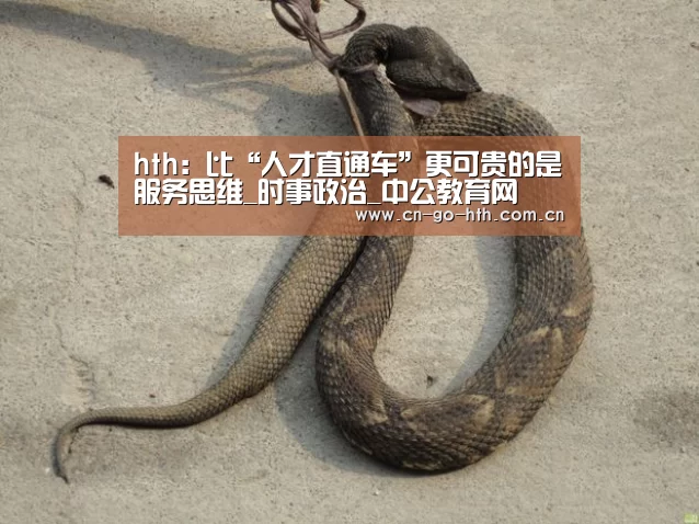 hth:比“人才直通车”更可贵的是服务思维_时事政治_中公教育网(图3) 华体会